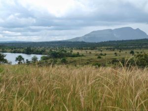 On the way to the falls far away