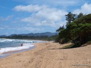Hawaiian Island Kauai 2