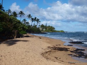 Hawaiian Island Kauai 3