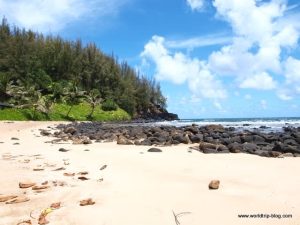 Hawaiian Island Kauai