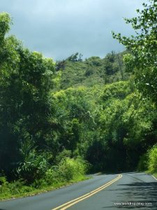 Hawaiian Island Kauai