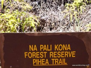 Hawaiian Island Kauai