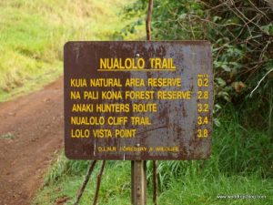 Hawaiian Island Kauai