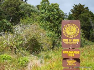 Hawaiian Island Kauai