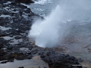 Hawaiian Island Kauai