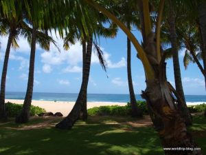 Hawaiian Island Kauai