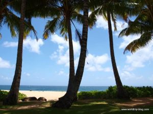 Hawaiian Island Kauai