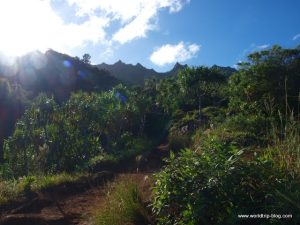 Hawaiian Island Kauai
