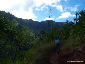 Hawaiian Island Kauai