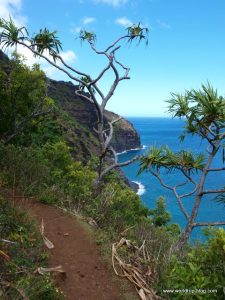 Hawaiian Island Kauai