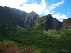 Hawaiian Island Kauai