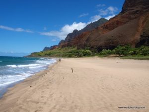 Hawaiian Island Kauai