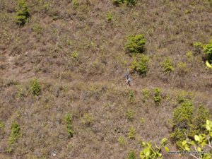 Hawaiian Island Kauai