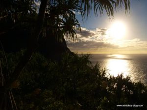 Hawaiian Island Kauai