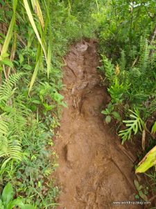 Hawaiian Island Kauai