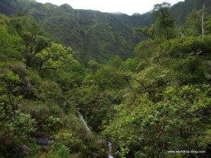 Hawaiian Island Kauai