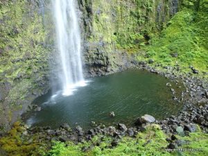 Hawaiian Island Kauai