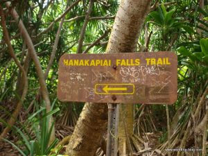 Hawaiian Island Kauai