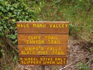 Hawaiian Island Kauai