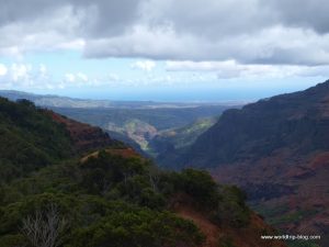 Hawaiian Island Kauai