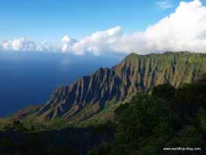 Hawaiian Island Kauai