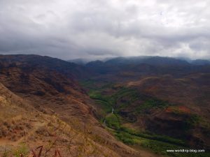 Hawaiian Island Kauai