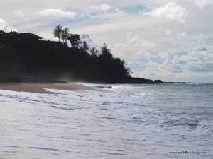 Hawaiian Island Kauai 1