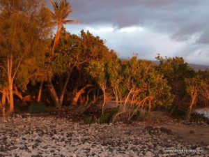 Big Island Hawaii