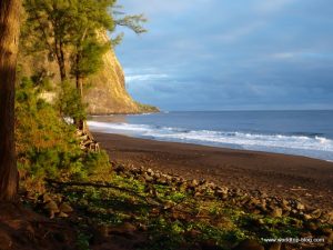 Beach Big Island Hawaii