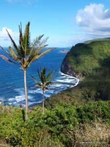 View Hawaii Big Island